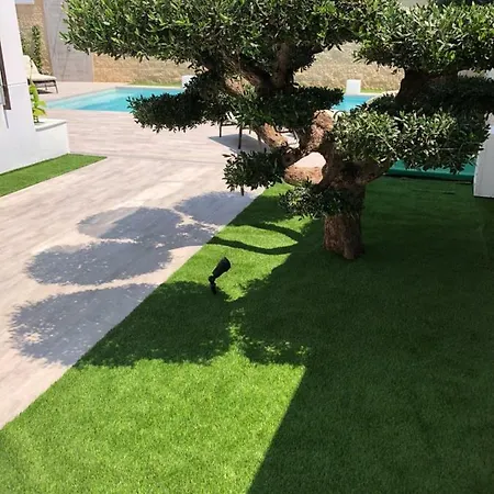 Villa Mondrian